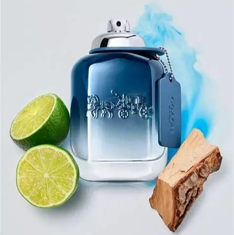 Coach New York Blue EDT 100ml (M)