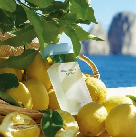 D&G Light Blue EDT 100ml (W)