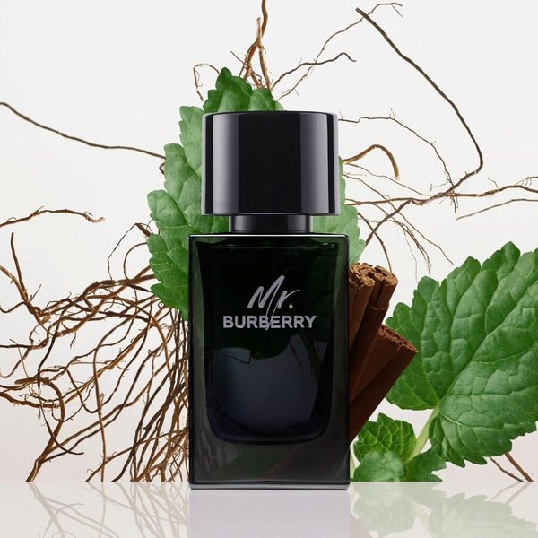 Burberry EDP 100ml (M)